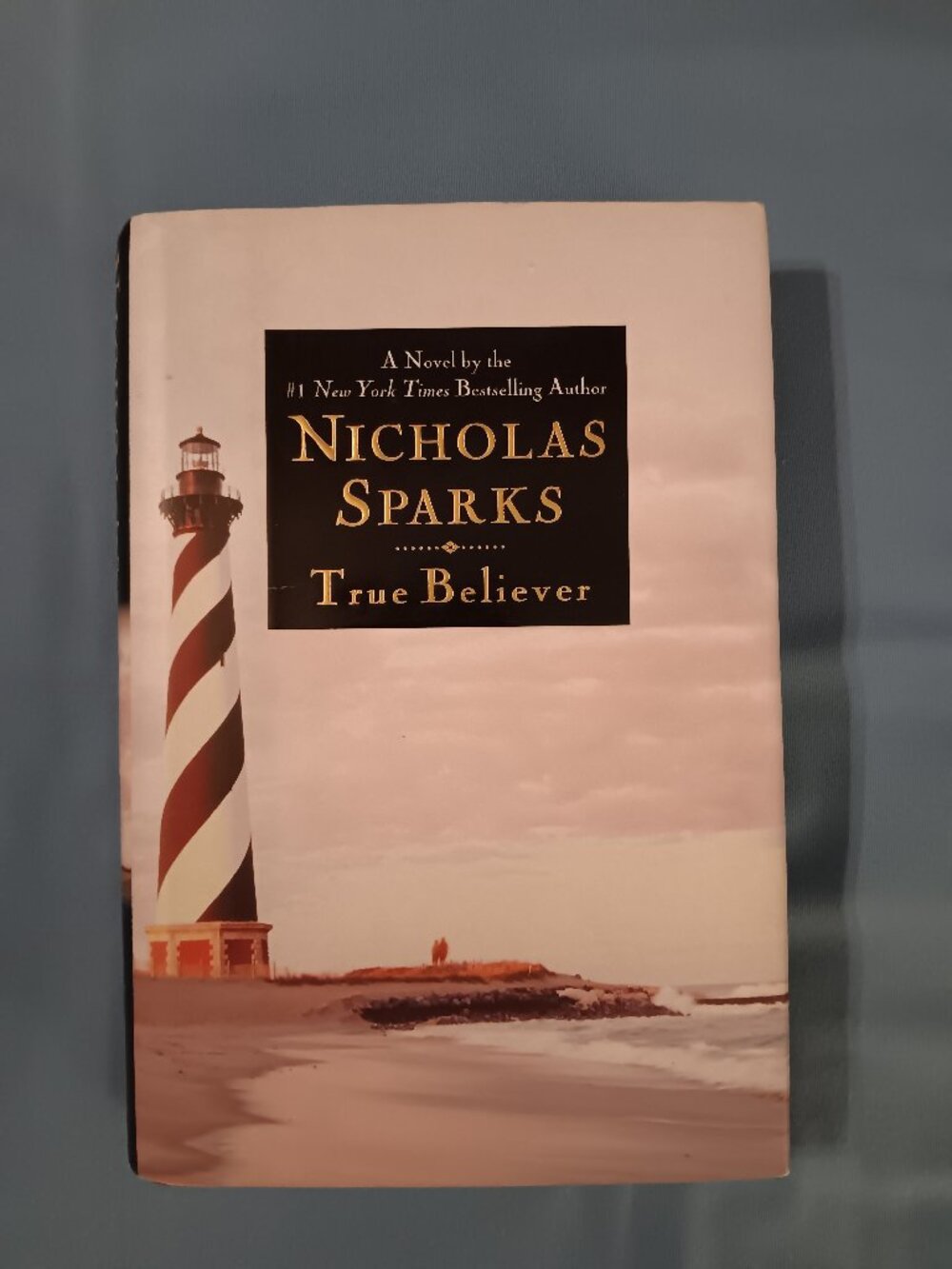 True Believer by Nicholas Sparks (2005 1st Edition Hardcover) Supernatural